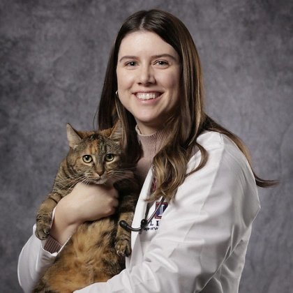 Dr. Casey Boyer